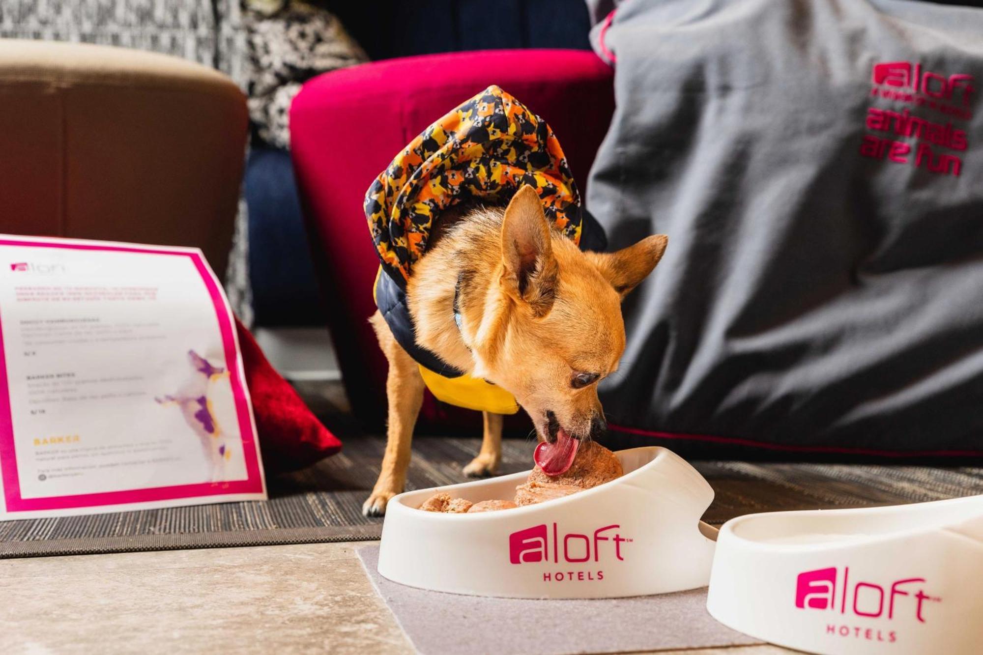 Aloft Lima Miraflores, a Marriott Hotel Esterno foto